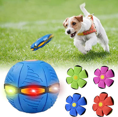 Frisbee Multifuncional para Cães 🥏🐶